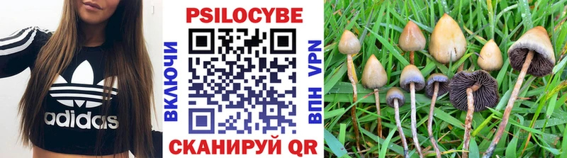 Псилоцибиновые грибы ЛСД Сергач