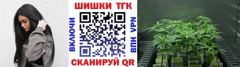 Шишки марихуана OG Kush  Сергач 